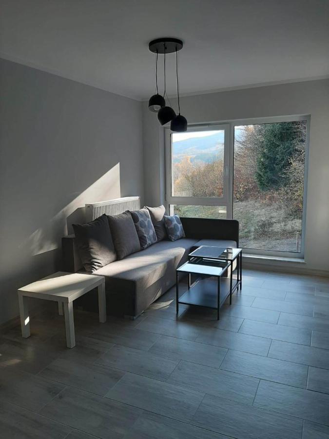 Apartament Lilu 스클라르스카포렘바 외부 사진